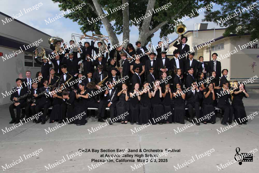 Musical Images